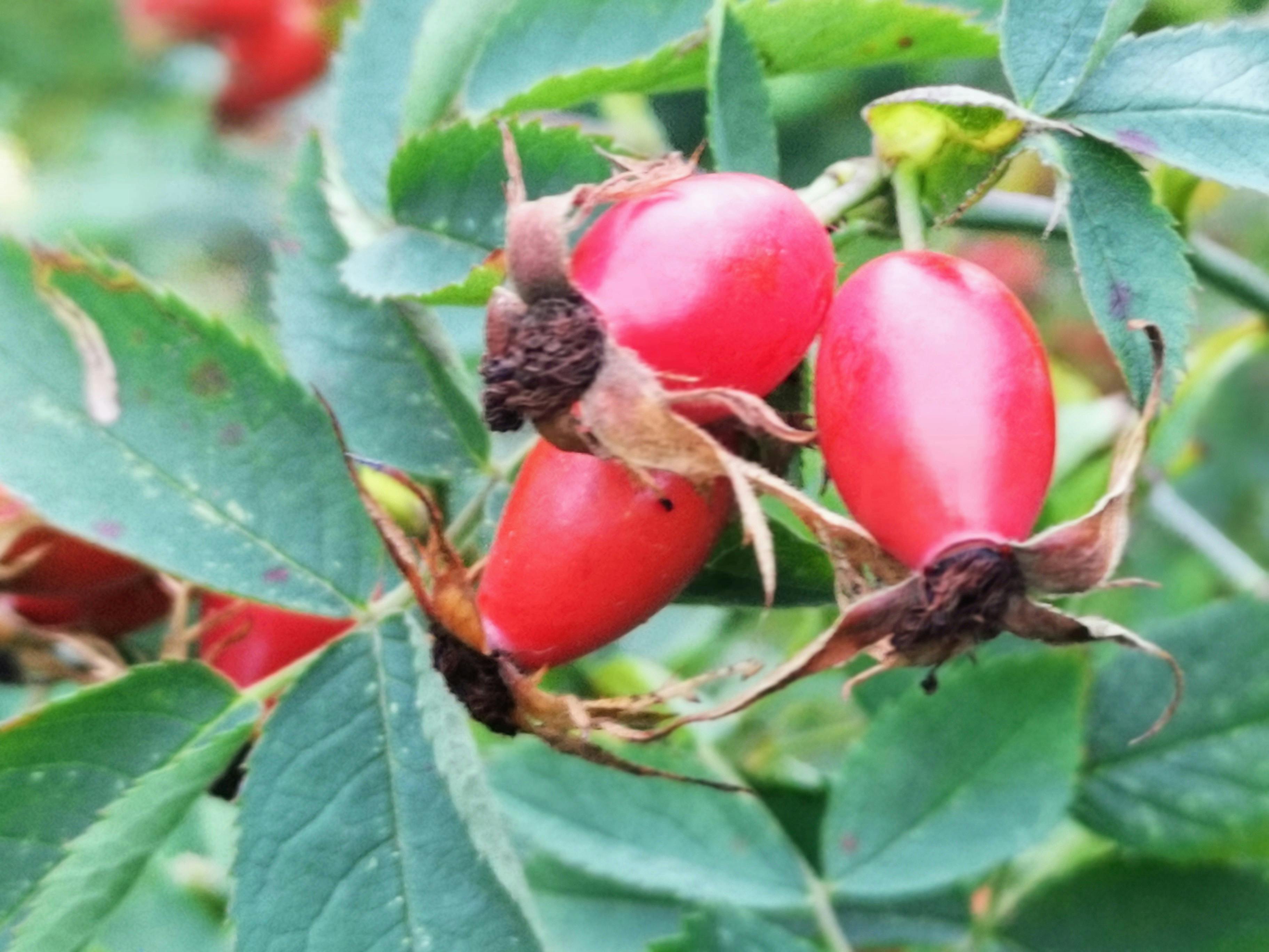 Agency owners shaking hands after signing a value-based contract